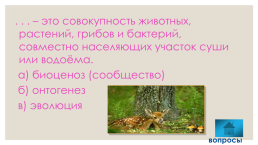 Метапредметный квест в волшебный мир цифровых образовательных ресурсов МЭШ для 5-6 классов, слайд 32