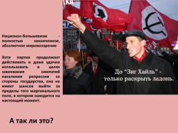 Основные виды экстремистских идеологий и концепций (национал-большевистская партия), слайд 10