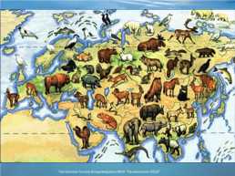 «Природные зоны Евразии». Бинарный интегрированный урок – практикум (география и информатика)