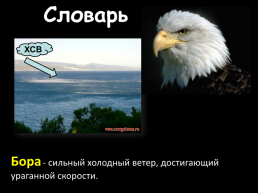 Природные комплексы России, слайд 24