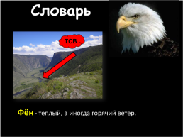 Природные комплексы России, слайд 25