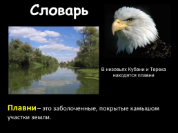 Природные комплексы России, слайд 29