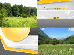 Природные комплексы России, слайд 31
