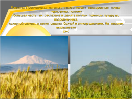 Природные комплексы России, слайд 32