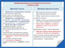 Урок русского языка в 11 классе, слайд 7