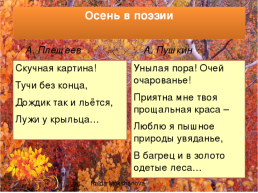 Осенний фольклор, слайд 23