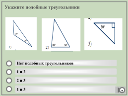 Геометрия. Подобие треугольников.. (Шаблон). Учебный тренажёр и проверочный тест, слайд 16