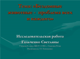 Бездомные животные - проблема всех и каждого, слайд 1