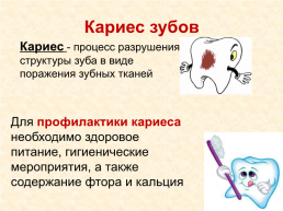 Исследовательский проект: «хорошие зубы – залог здоровья!», слайд 9