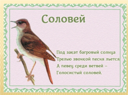 Детям о перелетных птицах в стихах и картинках, слайд 11