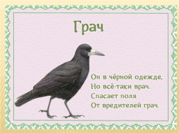Детям о перелетных птицах в стихах и картинках, слайд 12