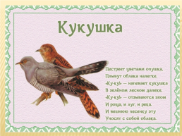 Детям о перелетных птицах в стихах и картинках, слайд 13