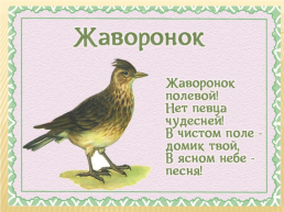 Детям о перелетных птицах в стихах и картинках, слайд 3