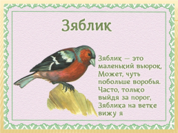 Детям о перелетных птицах в стихах и картинках, слайд 5