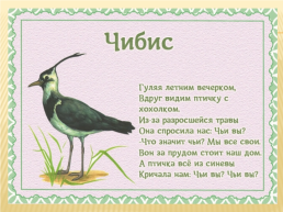 Детям о перелетных птицах в стихах и картинках, слайд 9