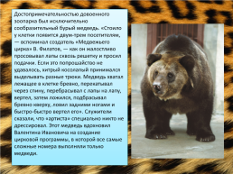 Свердловский зоопарк, слайд 11