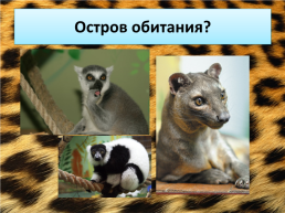 Свердловский зоопарк, слайд 15