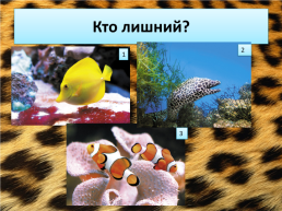 Свердловский зоопарк, слайд 17