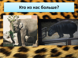 Свердловский зоопарк, слайд 19