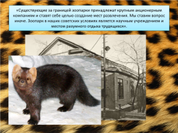 Свердловский зоопарк, слайд 4