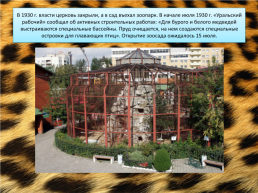 Свердловский зоопарк, слайд 9