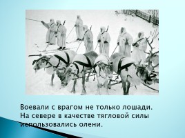 Верные помощники Великой Отечественной войны, слайд 13