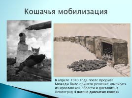 Верные помощники Великой Отечественной войны, слайд 14