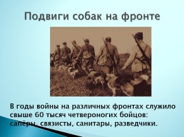 Верные помощники Великой Отечественной войны, слайд 4