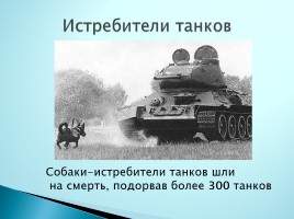 Верные помощники Великой Отечественной войны, слайд 8