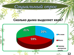 Учебно-исследовательская работа тема: «состав хвои», слайд 12