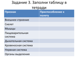 Класс птицы, слайд 5