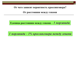 Гомозигота по двум доминантным признакам гетерозигота, слайд 13