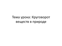 Круговорот веществ в природе