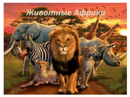 Животные африки, слайд 1