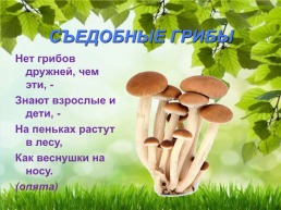 Загадки с машей: съедобные и несъедобные грибы старший дошкольный возраст, слайд 7