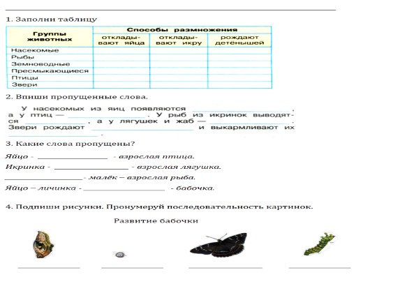 Размножение и размножение животных 3 класс презентация