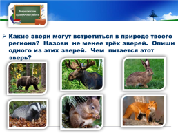 Готовимся к всероссийской проверочной работе окружающий мир 4 класс мой регион - Свердловская область., слайд 16