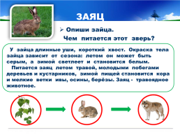 Готовимся к всероссийской проверочной работе окружающий мир 4 класс мой регион - Свердловская область., слайд 21