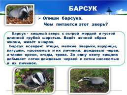 Готовимся к всероссийской проверочной работе окружающий мир 4 класс мой регион - Свердловская область., слайд 22