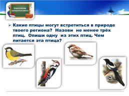 Готовимся к всероссийской проверочной работе окружающий мир 4 класс мой регион - Свердловская область., слайд 23