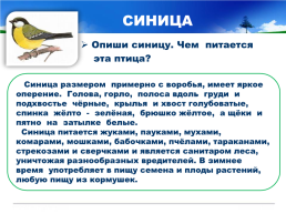Готовимся к всероссийской проверочной работе окружающий мир 4 класс мой регион - Свердловская область., слайд 24