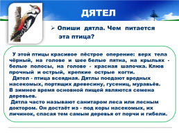 Готовимся к всероссийской проверочной работе окружающий мир 4 класс мой регион - Свердловская область., слайд 26