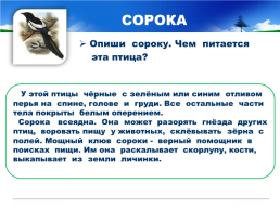 Готовимся к всероссийской проверочной работе окружающий мир 4 класс мой регион - Свердловская область., слайд 27