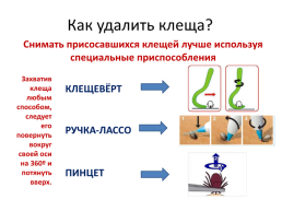 Безопасность детей в летний период, слайд 18