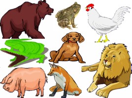 Английский язык обобщение по темам «Алфавит - название животных - глагол can», слайд 6