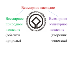 Урок окружающего мира, слайд 9