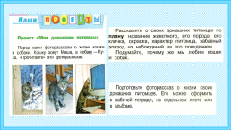 К уроку окружающего мира, 1 класс умк «школа россии». «Почему мы любим кошек и собак?», слайд 15