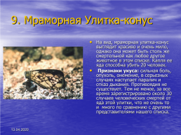 Биология ядовитые животные, слайд 12