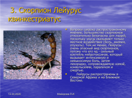 Биология ядовитые животные, слайд 6