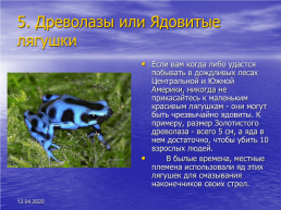Биология ядовитые животные, слайд 8